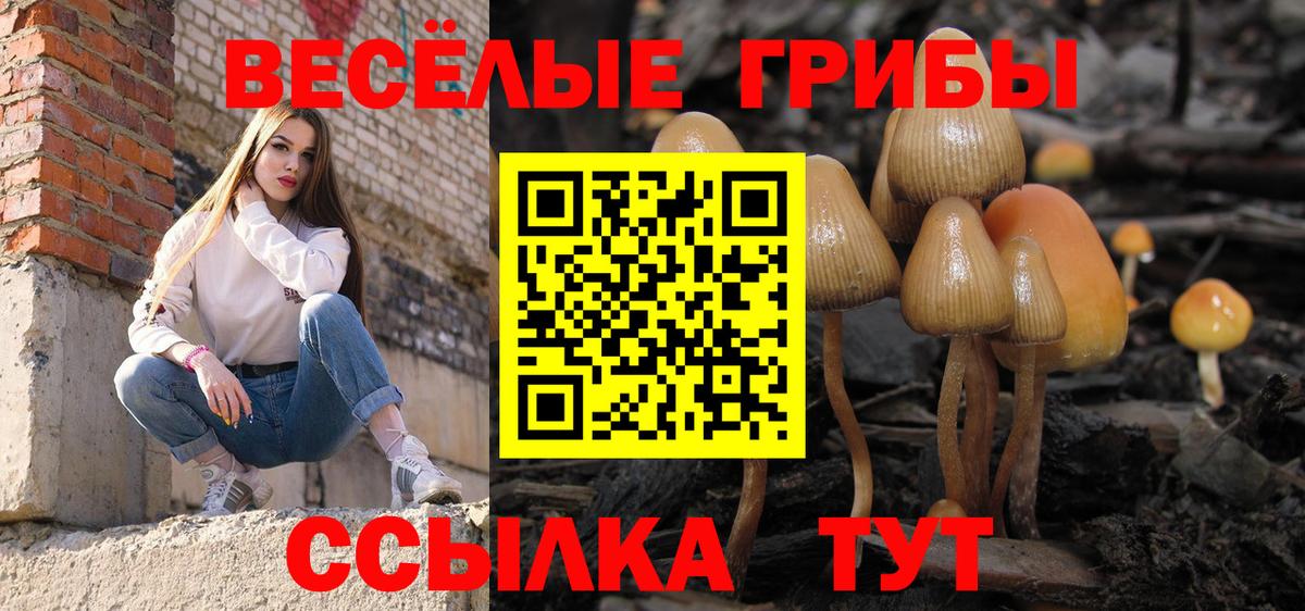 Заинск  Галлюциногенные грибы Cubensis  Вход с VPN 