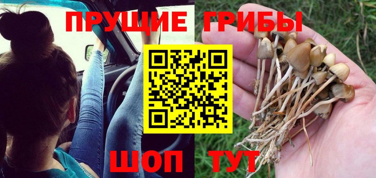 Псилоцибиновые грибы MAGIC MUSHROOMS Заинск